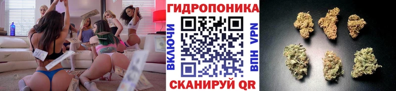 Где купить наркотики Брянск ГЕРОИН Мефедрон Псилоцибиновые грибы Гашиш COCAIN
