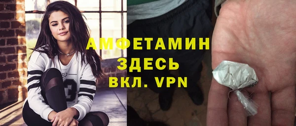 прущие грибы Абдулино