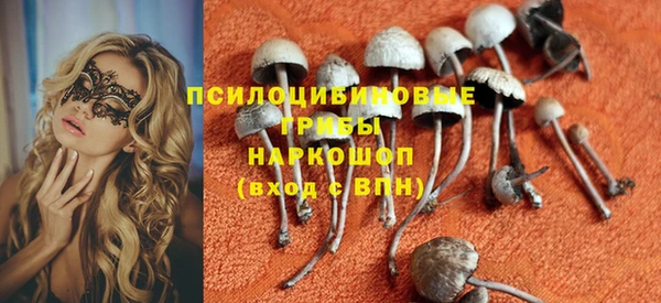 МДПВ Абаза