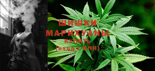 прущие грибы Абдулино