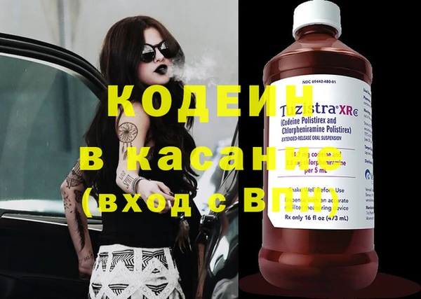 хмурый Алзамай