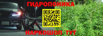 индика Балаково